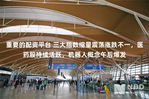 重要的配资平台 三大指数缩量震荡涨跌不一，医药股持续活跃，机器人概念午后爆发