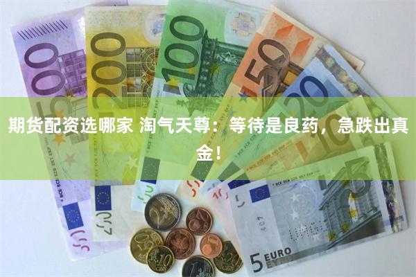 期货配资选哪家 淘气天尊：等待是良药，急跌出真金！