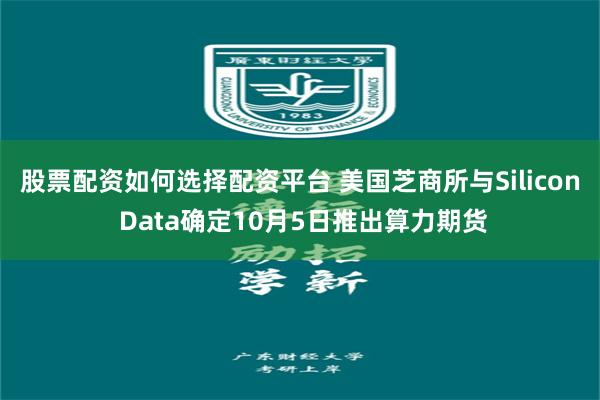 股票配资如何选择配资平台 美国芝商所与Silicon Data确定10月5日推出算力期货