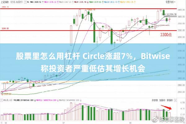 股票里怎么用杠杆 Circle涨超7%，Bitwise称投资者严重低估其增长机会