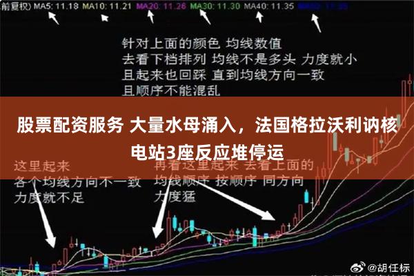 股票配资服务 大量水母涌入，法国格拉沃利讷核电站3座反应堆停运