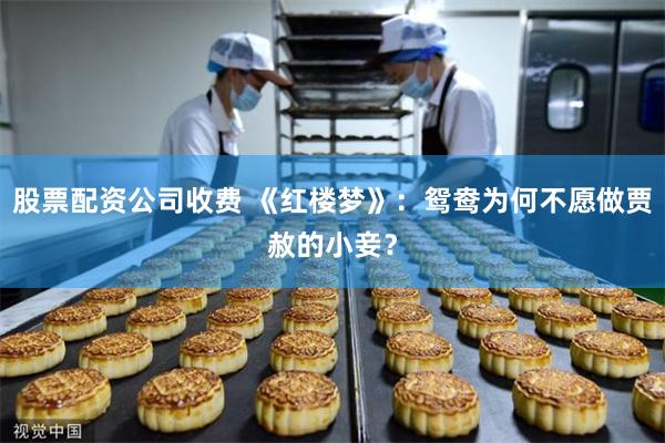 股票配资公司收费 《红楼梦》：鸳鸯为何不愿做贾赦的小妾？