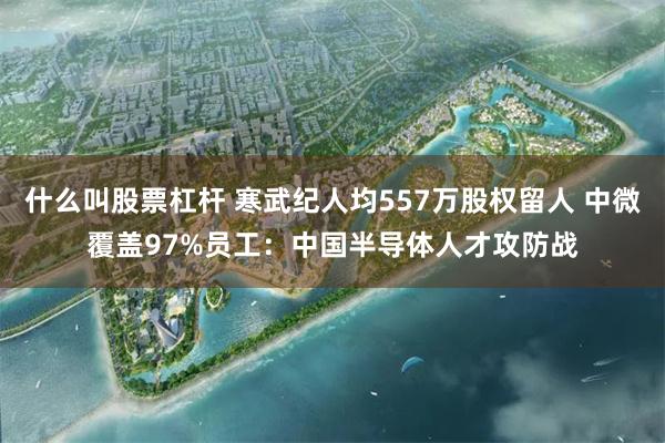 什么叫股票杠杆 寒武纪人均557万股权留人 中微覆盖97%员工：中国半导体人才攻防战