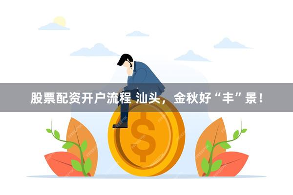 股票配资开户流程 汕头,金秋好“丰”景!