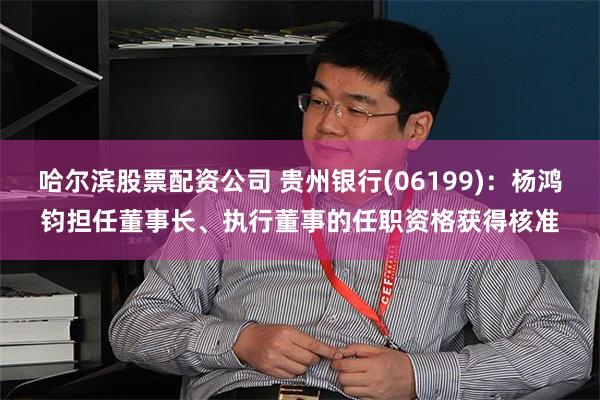 哈尔滨股票配资公司 贵州银行(06199)：杨鸿钧担任董事长、执行董事的任职资格获得核准