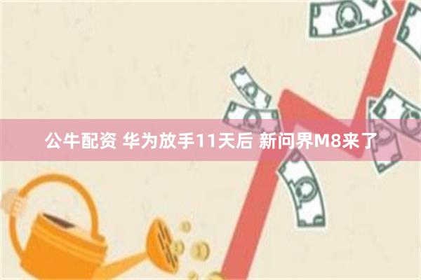 公牛配资 华为放手11天后 新问界M8来了