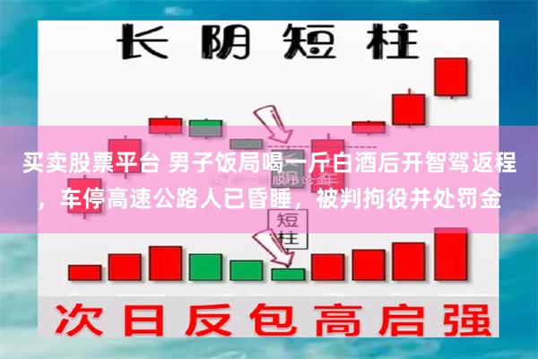 买卖股票平台 男子饭局喝一斤白酒后开智驾返程,车停高速公路人已昏睡,被判拘役并处罚金
