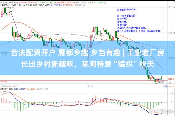 合法配资开户 魔都乡趣 乡当有趣 | 工业老厂房长出乡村新趣味，来阿特麦“编织”秋天