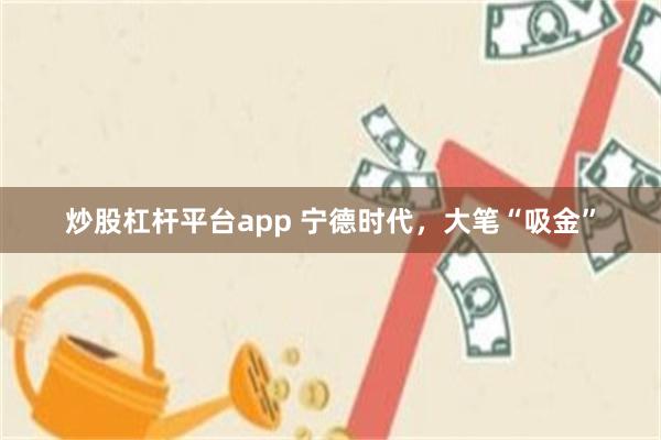 炒股杠杆平台app 宁德时代，大笔“吸金”